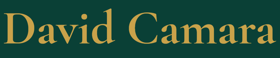 Logo de David Camara